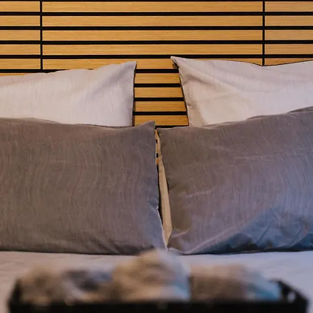 Le Cocon Du Parc - T2 Neuf Au Calme * Châtel-Guyon