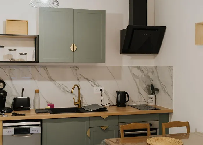 Le Cocon Du Parc - T2 Neuf Au Calme * Châtel-Guyon