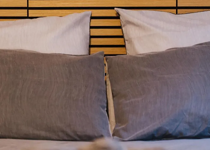 Le Cocon Du Parc - T2 Neuf Au Calme * Châtel-Guyon