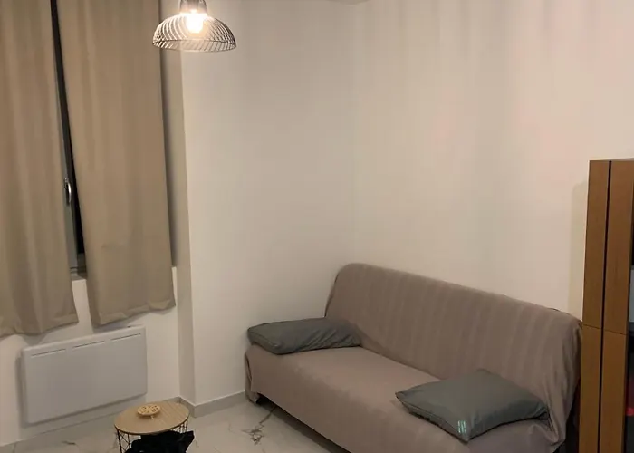 Le Cocon Du Parc - T2 Neuf Au Calme Апартаменты Шатель-Гийон