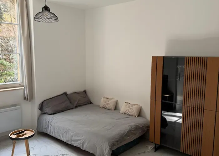 Апартаменты Le Cocon Du Parc - T2 Neuf Au Calme *