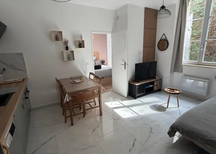 Апартаменты Le Cocon Du Parc - T2 Neuf Au Calme